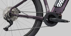 ZR Lady Hybrid 500 -Cube Verkäufe 2022 ZR LADY HYBRID CX500 detail01