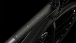 Cube Axial WS GTC SLX Switchorchid´n´carbon -Cube Verkäufe Axial WS GTC SLX switchorchid n carbon 629500 2