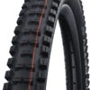 Schwalbe Big Betty Evo Super Gravity 29" Addix Soft E-50 Faltreifen