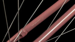 Cube Ella Cruise Hybrid 500 Easy Entry Twinkle´n´cream -Cube Verkäufe Cube Ella Cruise Hybrid 500 Easy Entry twinkle n cream 632611 5