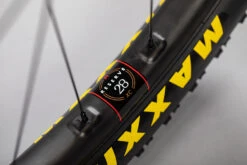 Santa Cruz Blur CC X01 AXS RSV -Cube Verkäufe MY22 blur details 016