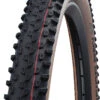 Schwalbe Racing Ray Evo Super Race 29" Addix Speed TLE Faltreifen -Cube Verkäufe RacingRay Speed Standard