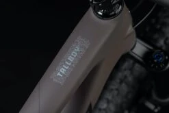 Santa Cruz Tallboy 5 C S -Cube Verkäufe Santa Cruz 192219250113 20123431 Tallboy 5 C S 4iB1G55TtrjFPE