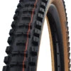 Schwalbe Big Betty Evo Super Gravity 29x2,40" Addix Soft E-50 Faltreifen -Cube Verkäufe Schwalbe Big Betty Evo Super Gravity 29x2 40 Addix Soft E 50 Faltreifen 11654374