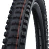 Schwalbe Big Betty Evo Super Ground 20x2,25" Addix Soft E-50 Faltreifen -Cube Verkäufe Schwalbe Big Betty Evo Super Ground 11654324 1