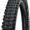 Schwalbe Wicked Will Performance Addix 29x2,40" E-50 Faltreifen